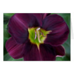 Deep Purple Card