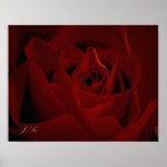 Deep Red Rose Poster posters
