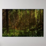 Deep Siberia 2 posters