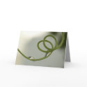 Deepest Sympathy card