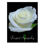Deepest Sympathy Postcard