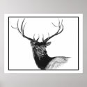 deer3724 posters
