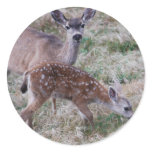 Deer and fawn Sticker