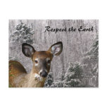 Deer and Frosty Hills postcards