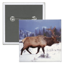 Deer Country Buttons