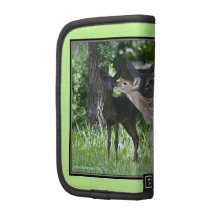 Deer Family Organizers