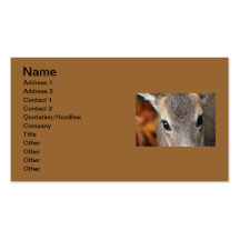 Deer Fawn Closeup Portrait Business Card Template