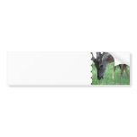 Deer Grazing Bumper Stickers