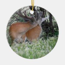 Deer Grooming Tail Christmas Tree Ornament