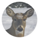 Deer Head stickers