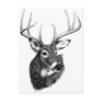 deer headgif