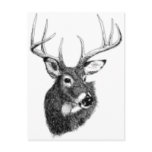 deer headgif postcards