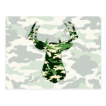 Deer Hunting Camo Buck Postcard