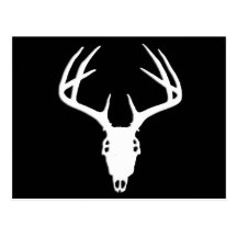 Deer Hunting Skull w/ Antlers Post Cards