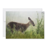 Deer In Field Personalized Invitations