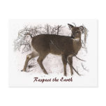 Deer in Snow Earth Day postcards