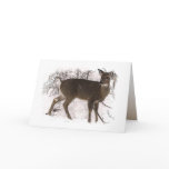 Deer in Snow Father's Day cards