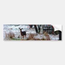 Deer in Winter Bumper Stickers