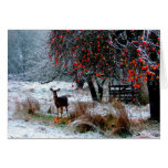 Deer in Winter Greeting Cards