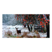 Deer in Winter Personalised Photo Card