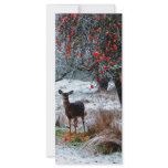 Deer in Winter rack cards