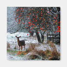 Deer in Winter Refrigerator Magnet