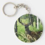 Deer in Woodland Keychains