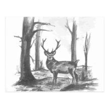 deer in woodsgif post card