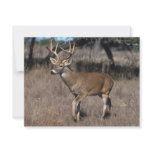Deer Personalized Invite