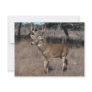 Deer Personalized Invite