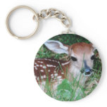 deer keychains