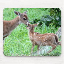 Deer Kissing Fawn Mouse Pad