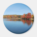 Deer Lake Fridge Magnet