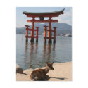 deer miyajima postcards