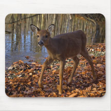 deer mouse pads