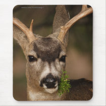 Deer mousepads