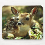 Deer mousepads