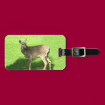 Deer on Grass luggage tags