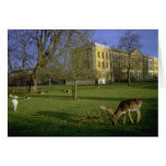 Deer park, Magdalen College, Oxford, U.K. cards