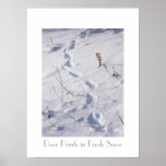 Deer Prints Snow Poster