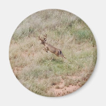 Deer Running Refrigerator Magnet