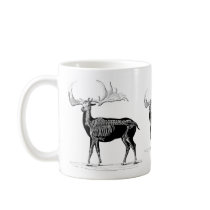 Deer skeleton coffee mugs