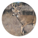 Deer Stickers