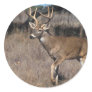 Deer Stickers