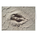 deer track greeting card