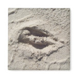 Deer track magnets