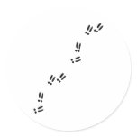 Deer - Tracks stickers