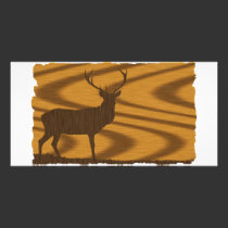 Deer Walnut photo cards