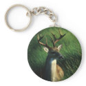Deer / White Tailed Buck keychains