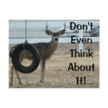 Deer With Attitude Postcard